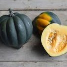 10 Pcs Sweet Reba Acorn Cucurbita Pepo Square Vegetable Organic