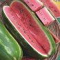 20 Pcs High Yields Legacy Long Red Watermelon Seeds