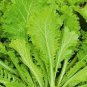 50 Pcs Green Potherb Mustard Organic Chinese Sauerkraut Vegetable