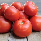 100 Pcs Park's Whopper CR Improved Hybrid Tomato 100 Pcs Park's Whopper CR Improved Hybrid Tomato
