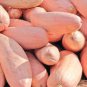 20 Pcs Pink Banana Jumbo Pumpkin Seeds Flesh Fruits Squash Vegetable