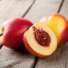 2 Pcs Heirloom Middle-sized Nectarine Smooth-skinned Peach Fruit 2 Pcs Heirloom Middle-sized Nectarine Smooth-skinned Peach Fruit