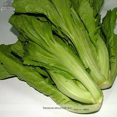 120 Pcs Heirloom Organic Green Leaf Mustard Brassica juncea Vegetables
