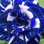 30 Pcs Rare Dragon Striped Rose Flower Seeds Bonsai Garden Decor Plants