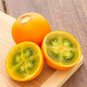 100 Pcs Orange Naranjilla Solanum Quitoense Fruit Seeds