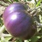 100 Pcs Heirloom 'Zj' Purple Truss Tomato Hybrid Seeds