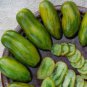 100 Pcs Sausage Green Tomato Organic Seeds