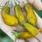 100 Pcs Sausage Green Tomato Organic Seeds