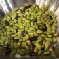 25 Pcs Green Kidney Bean Organic Vegetable Seeds