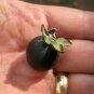 20 Pcs Japanese Black Persimmon Rare Species Fruit Tree Seeds