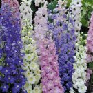 30 Pcs Genuine Mixed Green Pink Blue White Delphinium