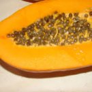 6 Pcs Hainan Yellow Skin Yellow Inside Papaya Fruits