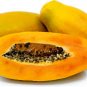 6 Pcs Hainan Yellow Skin Yellow Inside Papaya Fruits