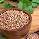 160 Pcs Four Seasons Parsley Seeds Organic Coriander Seeds 160 Pcs Four Seasons Parsley Seeds Organic Coriander Seeds