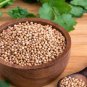 160 Pcs Four Seasons Parsley Seeds Organic Coriander Seeds