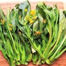 260 Pcs Sweet and Tender Choy Sum Organic Cabbage Seeds 260 Pcs Sweet and Tender Choy Sum Organic Cabbage Seeds