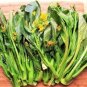 260 Pcs Sweet and Tender Choy Sum Organic Cabbage Seeds