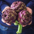 4 Pcs Artichoke Purple Violet De Provence Vegetable Seeds