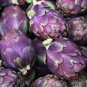4 Pcs Artichoke Purple Violet De Provence Vegetable Seeds