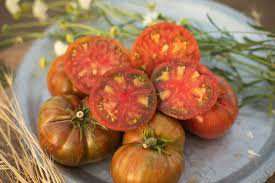 100 Pcs Chocolate Ruffled Tomato Seeds