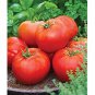 100 Pcs Rare Burpee's Big Boy Tomato Hybrid Seeds