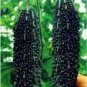 10 Pcs Black Pearl Bitter Vegetables Seeds