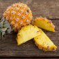 100 Pcs Pineapple Seeds