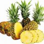 100 Pcs Pineapple Seeds