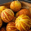 10 Pcs Heirloom Tigger Sweet Melon