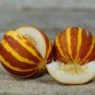 10 Pcs Heirloom Tigger Sweet Melon