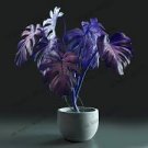 50 Pcs Rare Mixed Turtle Leaves Seeds Monstera Potted Plant