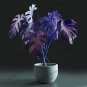 50 Pcs Rare Mixed Turtle Leaves Seeds Monstera Potted Plant