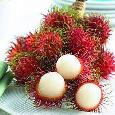 5 Pcs Rambutan Seed Red Fruits Malaysia Miracle Fruit Seeds Plant