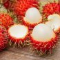5 Pcs Rambutan Seed Red Fruits Malaysia Miracle Fruit Seeds Plant