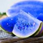 10 Pcs New Variety Plant Blue Watermelon Seeds Vegetable Organic Gardening