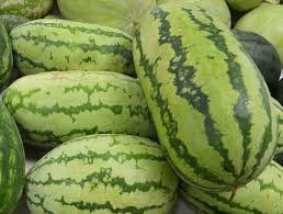 100 Pcs WatermelonSeeds, Heirloom NON-GMO, HUGE, Extra Sweet and Fragrant