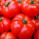 100 Pcs Heirloom Big Beef Tomato Seeds 100 Pcs Heirloom Big Beef Tomato Seeds
