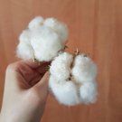 20 Pcs White Cotton Seeds