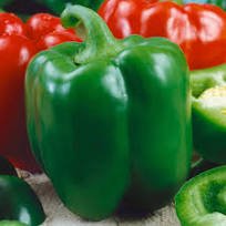 300 Pcs Heirloom 'Jinke' Long Giant Ox Horn Sweet Pepper Organic Seeds