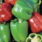 300 Pcs Heirloom 'Jinke' Long Giant Ox Horn Sweet Pepper Organic Seeds