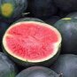 70 Pcs Heirloom 'Lifeng' Black Skin Red Watermelon Seeds