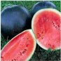 70 Pcs Heirloom 'Lifeng' Black Skin Red Watermelon Seeds