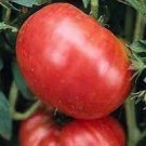 30 Pcs Rare Heirloom 'Mao Fen 802' Pink Big Tomato Organic Seeds
