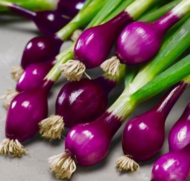 100 Pcs Onion Deep Purple Vegetable Seeds