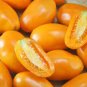 100 Pcs Tomato Buratinorjs Light Orange Uniquely Shaped Fruit Seeds