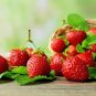 100 Pcs Strawberry Temptation Organic Fruit Seeds