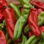 150 Pcs Rare Colorful OX Horn Sweet Pepper F1 Edible Vegetable Seeds