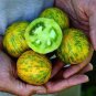 100 Pcs Bright Green White Zebra Tomato Organic