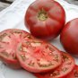 100 Pcs 'Eluosi' Cherokee Purple Giant Tomato