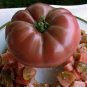 100 Pcs 'Eluosi' Cherokee Purple Giant Tomato